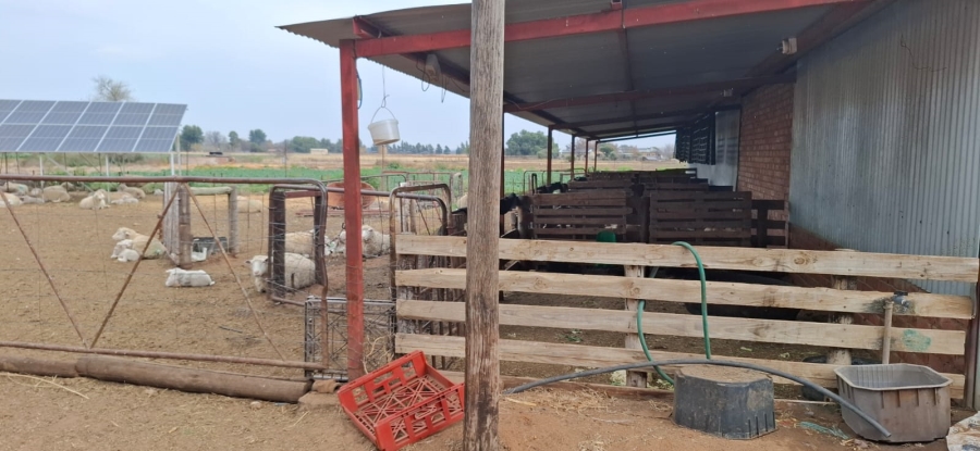 Commercial Property for Sale in Bainsvlei Free State